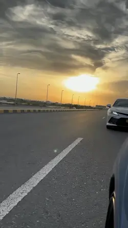 طير الحمامي 