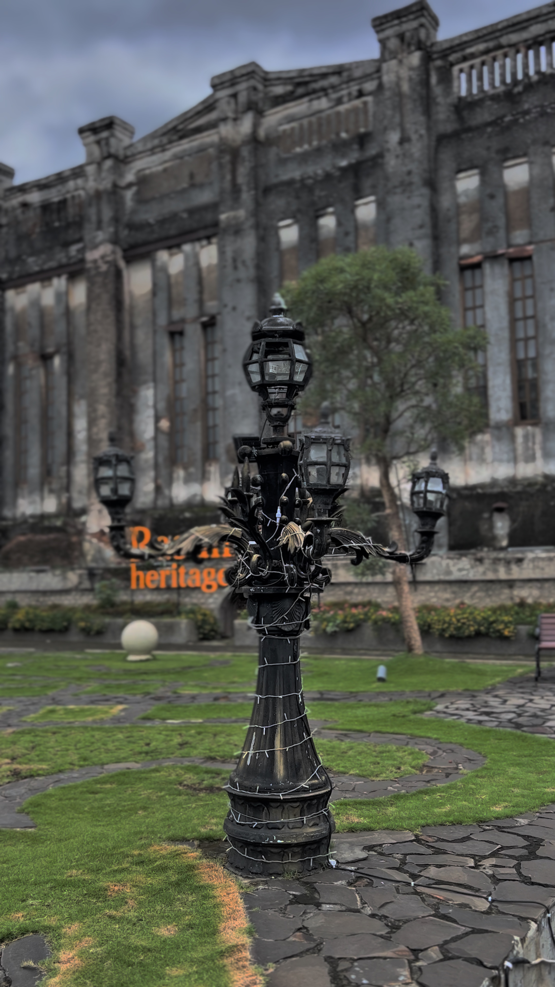 Cover Picture