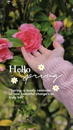Hello Spring 🌸