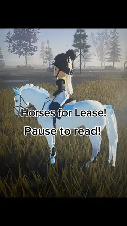 Horses for lease!