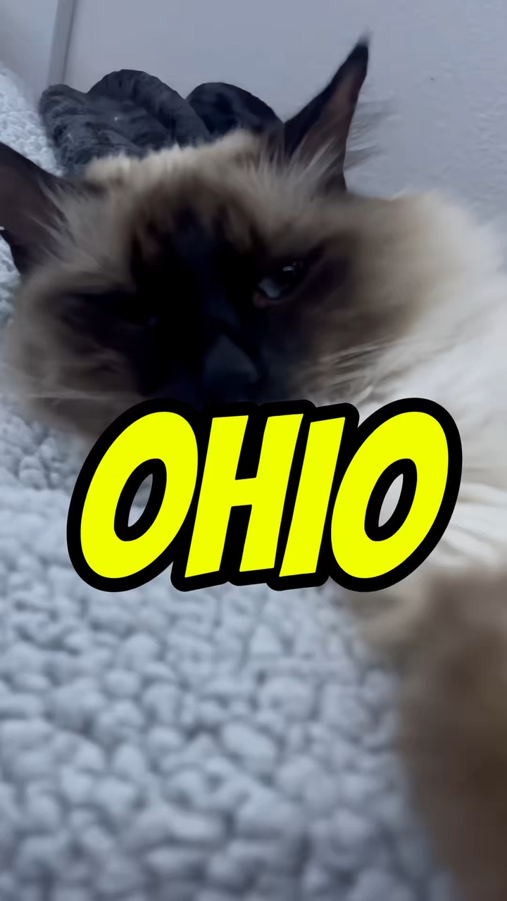 OHIO! (KPOP PARODY)