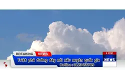 Mẫu troll thời sự 