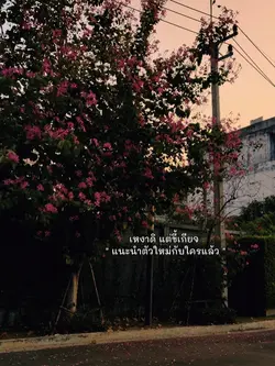 กลัวเจ็บ