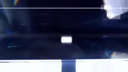 多張
