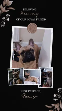 rip in loving memory