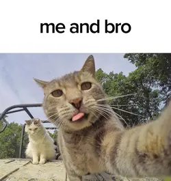 Me and bro