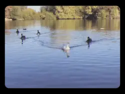 Ekspormu semangatku💕