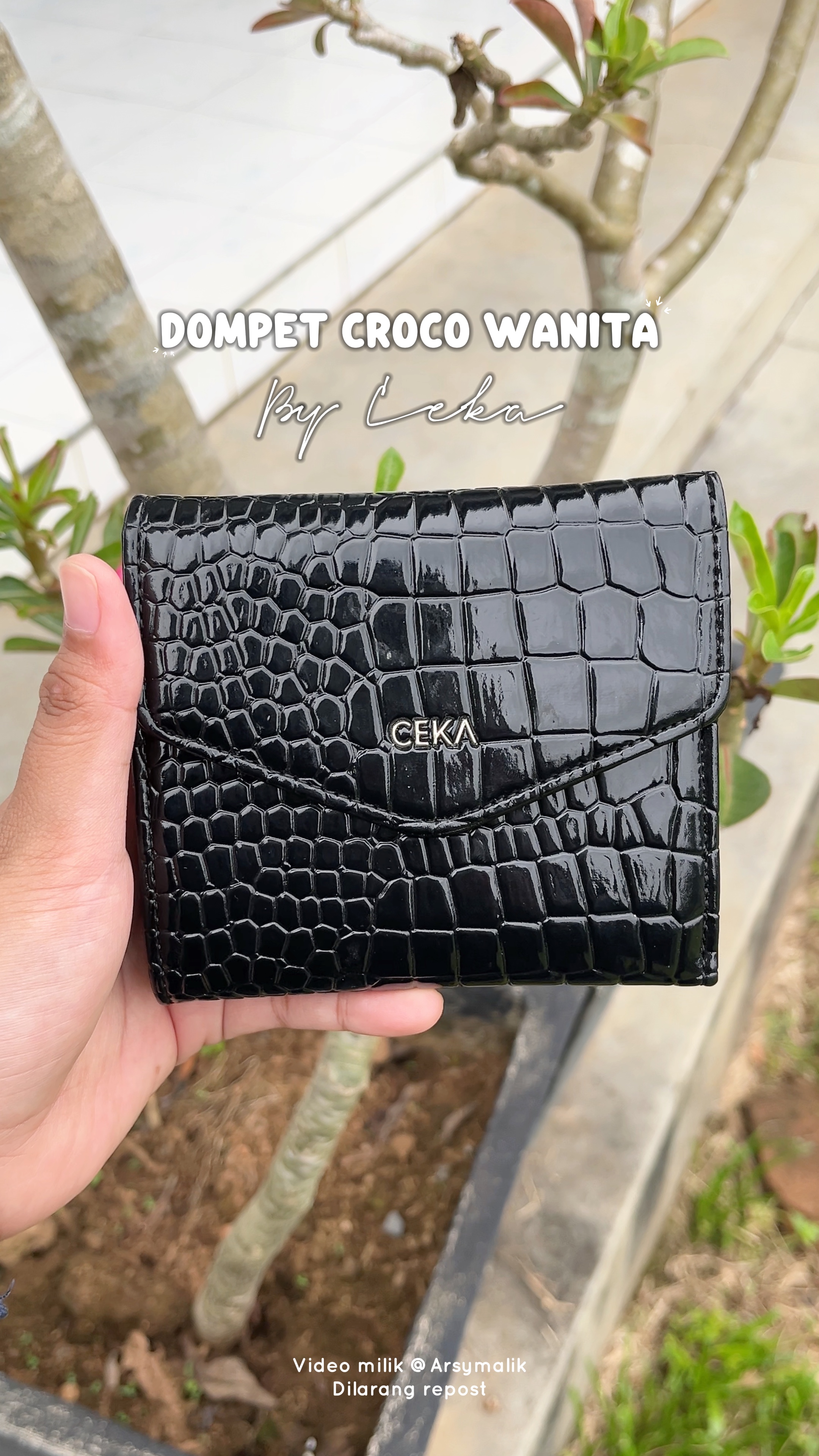 Dompet wanita