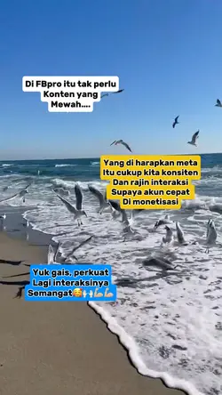 Konten fbpro