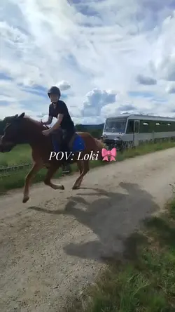 Fetzen mit dem Zug!