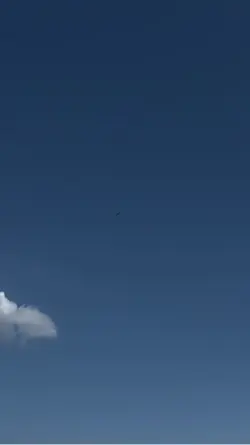 Fly