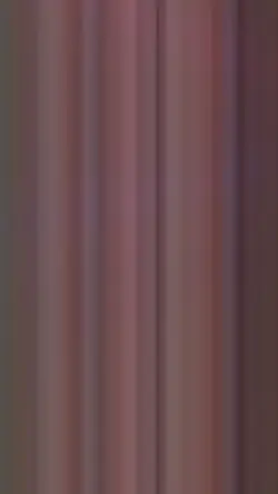 อนุรักษ์สัตว์ป่า