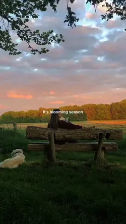 It's blooming season