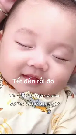 Tao lo quá