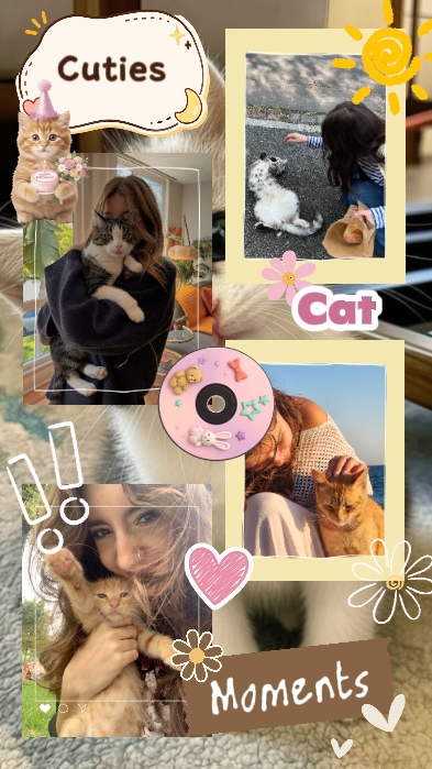 Catday