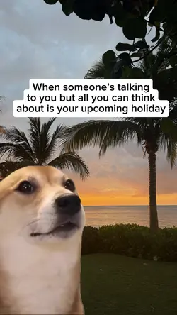 Dog Dancing Meme