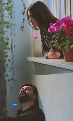 halay şablonu