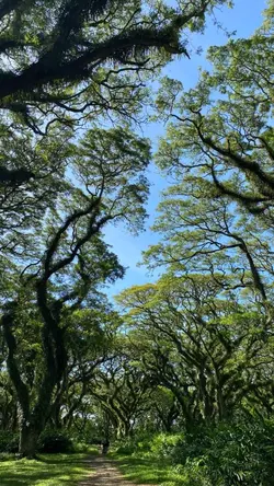 aesthetic view