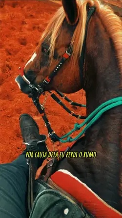 Perdi o rumo