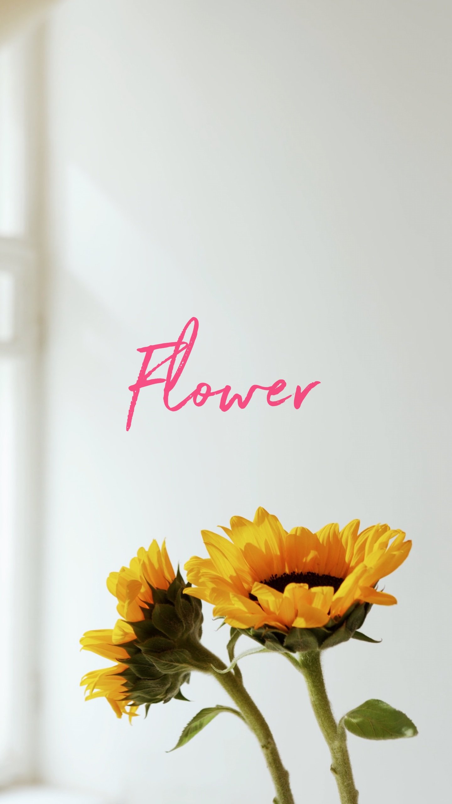 Flor