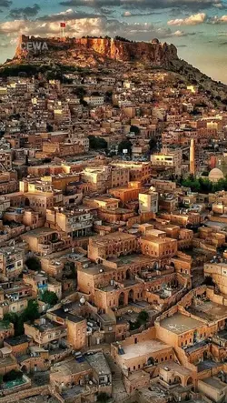 Mardin