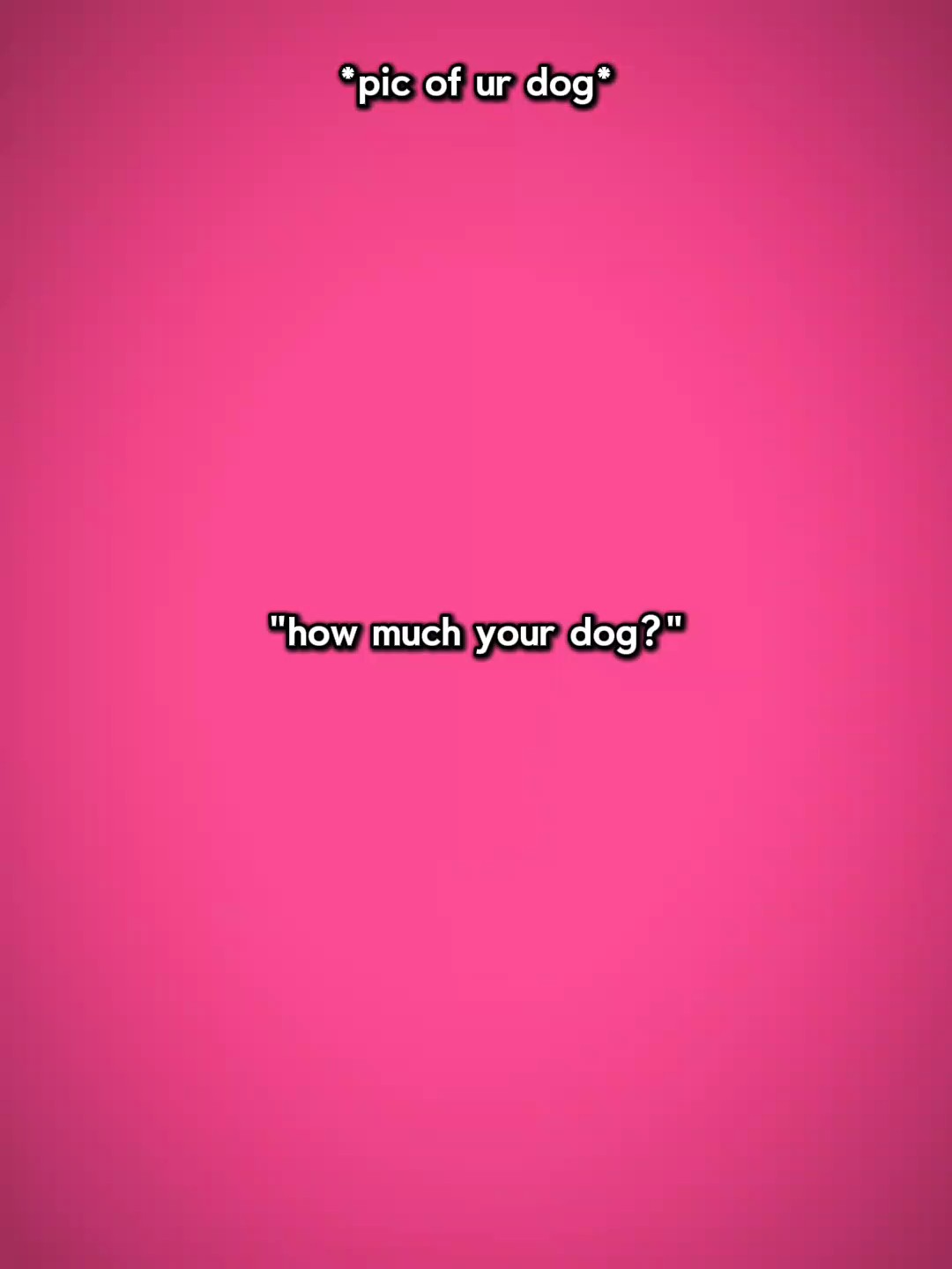 Wie viel Ihr Hund