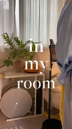 roomvlog