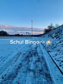 Schul Bingo
