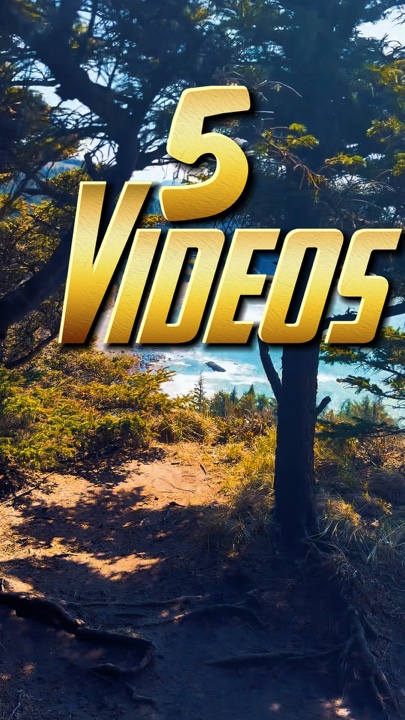 ReelsVibe