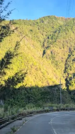 Nature trip 