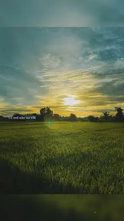 1pics + màu 