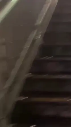 歩道橋