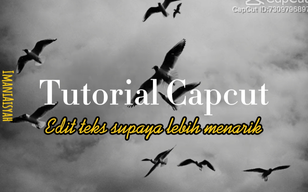 Cover Picture