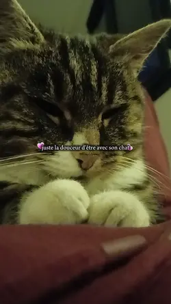 la douceur