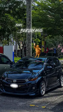 raja gelek peyroduaa