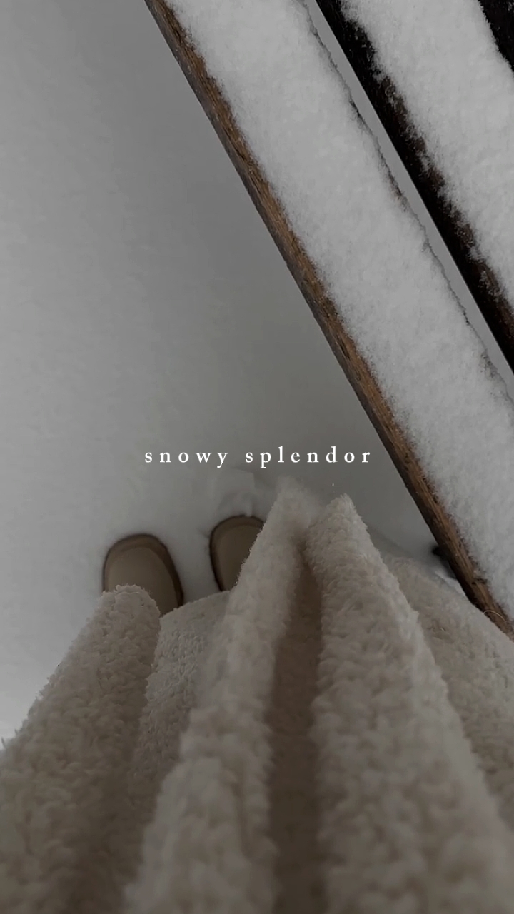 Esplendor nevado