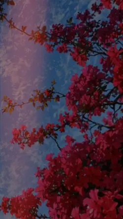 Blur Transition