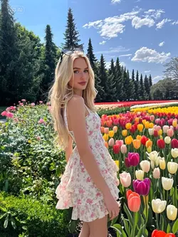 Vườn hoa tulip 🌷