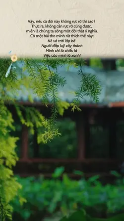 Mình chỉ là chiếc lá