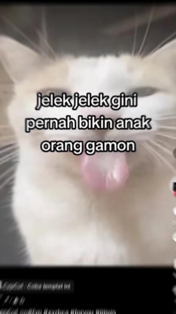 JELEK JELEK GINI