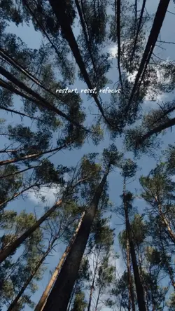 restart,reset,rfocus