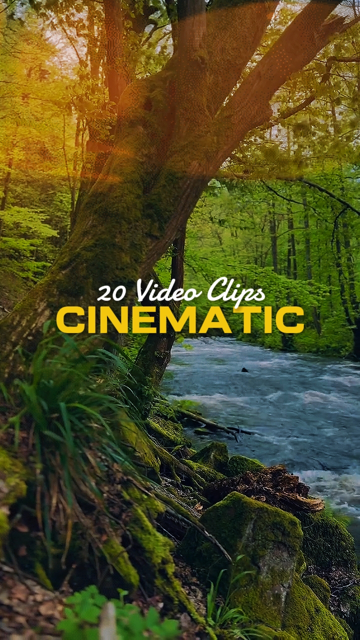 20 Video Clips