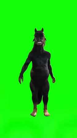 Phonky Horse 