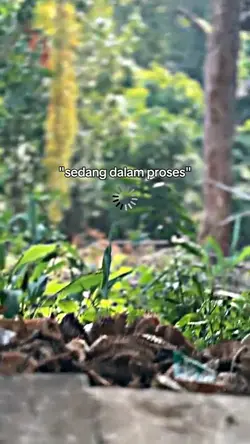 Sedang dalam proses