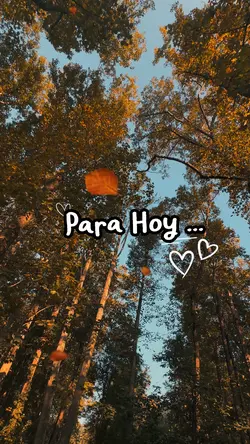 Frases bonitas 🫶✨💕