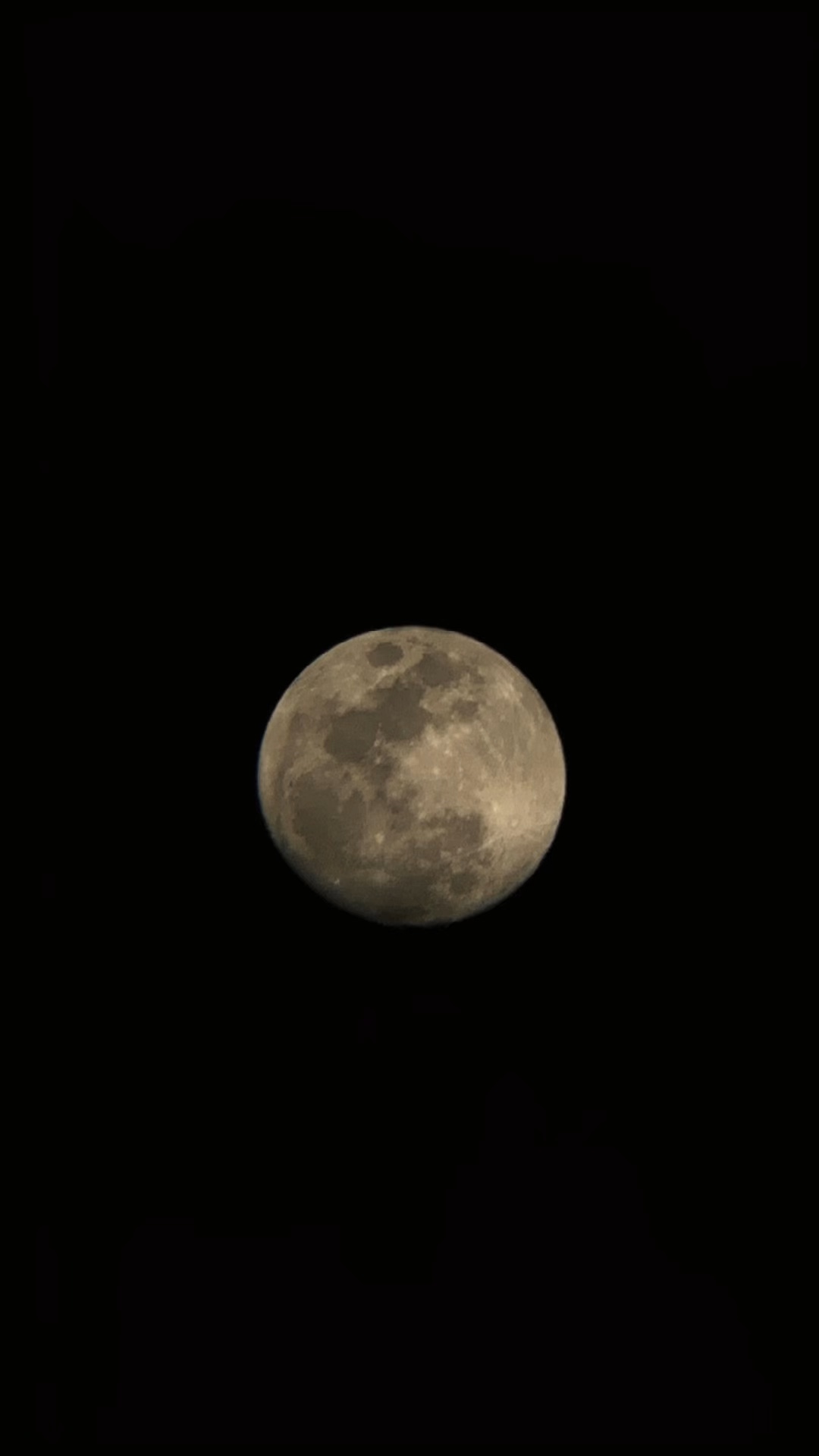 Amo a la luna