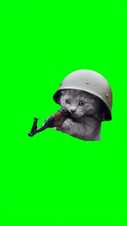 KITTEN SNIPER