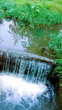 beautiful waterfall