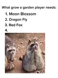 Grow a garden roblox