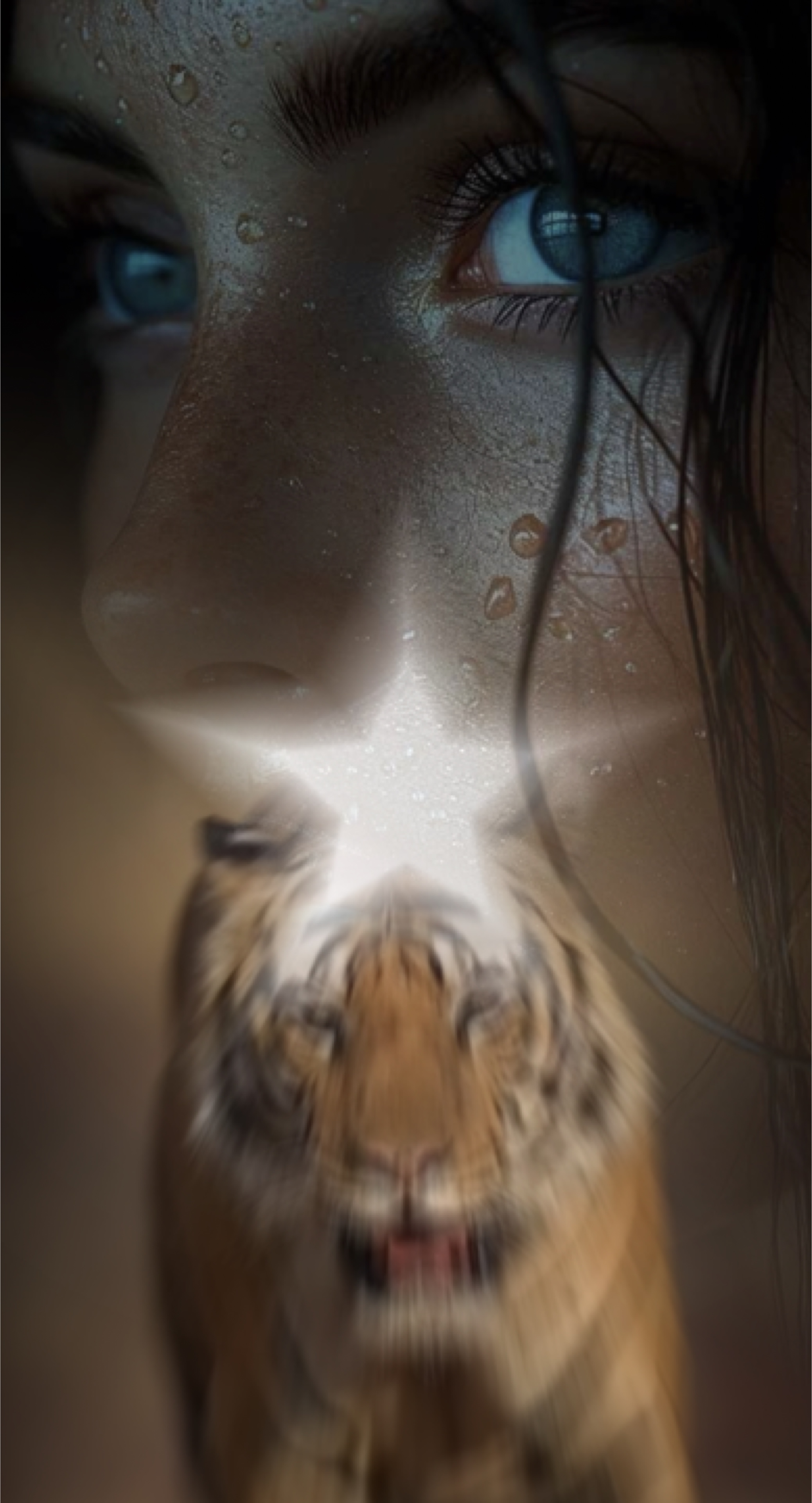 Tigre 
